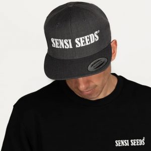 Sensi Seeds Gorra Negra Letras Blancas