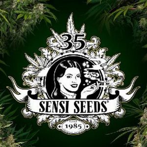 Ceniceros Metalicos Sensi Seeds