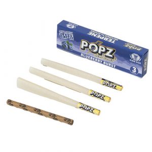 Popz The Original Hemp Cones Blueberry Burst