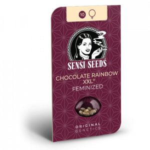 Chocolate Rainbow XXL