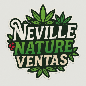 Cheese Cake Autofloreciente