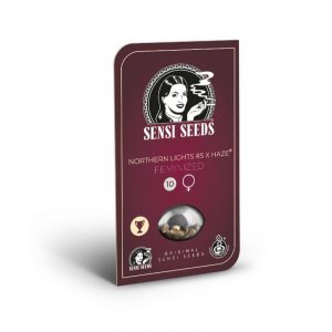 Northern Lights # 5 x Haze