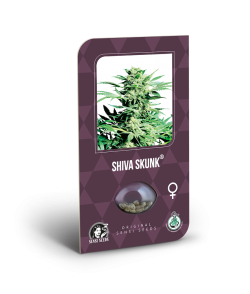 Shiva Skunk