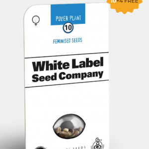 Pure Power Plant Feminizada