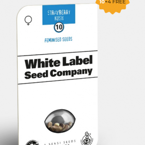 Strawberry Kush Feminizada