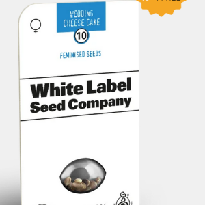 Wedding Cheesecake Feminizada