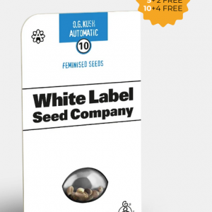 OG Kush Autofloreciente