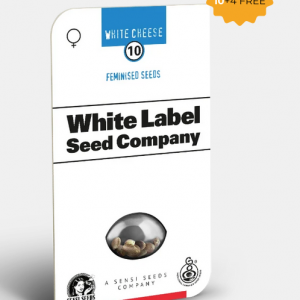 White Cheese Feminizada