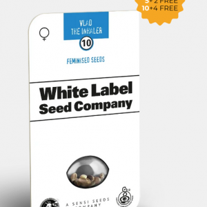 Vlad the Inhaler Feminizada