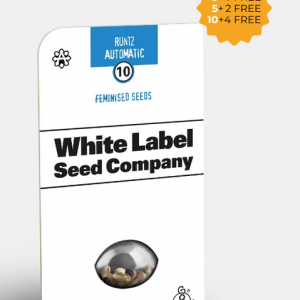 Runtz Autofloreciente