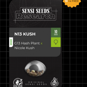 N13 Kush Feminizada