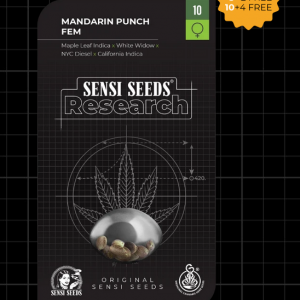 Mandarin Punch Feminizada