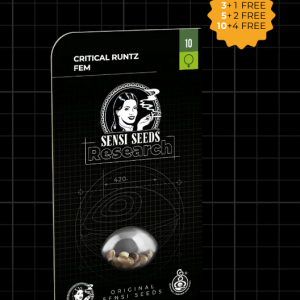 Critical Runtz Feminizada