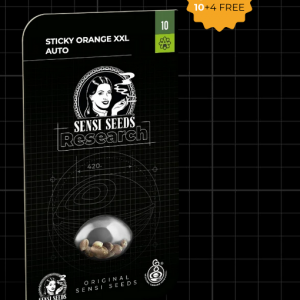 Sticky Orange XXL Autofloreciente