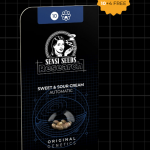 Sweet & Sour Cream Autofloreciente