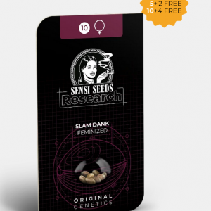 Slam Dank Feminizada