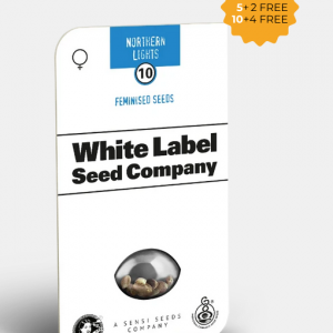 Northern Lights Feminizada