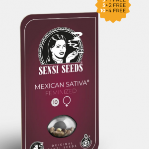 Mexican Sativa Feminizada