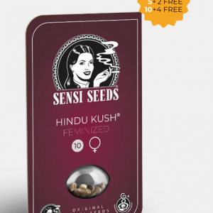 Hindu Kush Feminizada