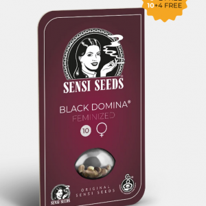 Black Domina Feminizada
