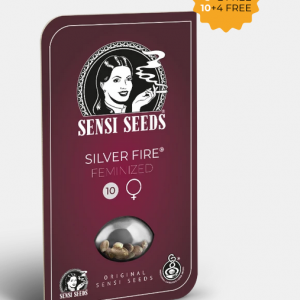 Silver Fire Feminizada