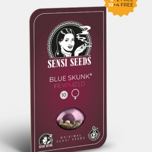 Blue Skunk Feminizada