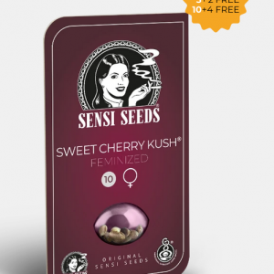 Sweet Cherry Kush Feminizada