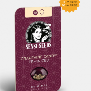 Grapevine Candy Feminizada