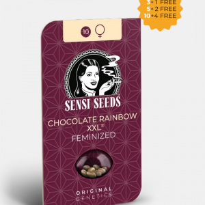 Chocolate Rainbow XXL Feminizada