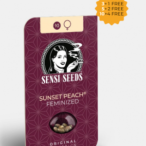 Sunset Peach Feminizada