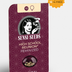 High School Reunion Feminizada