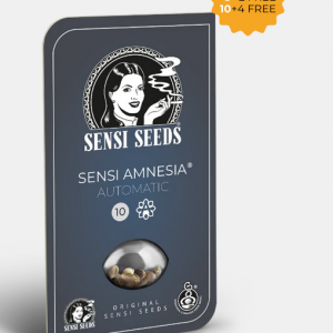 Sensi Amnesia Autofloreciente