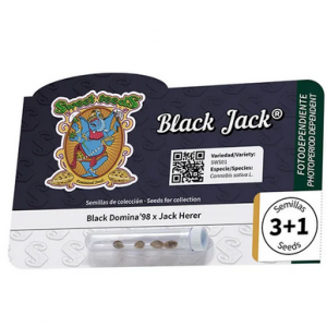 Black Jack