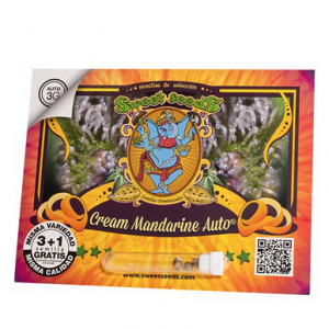 Cream Mandarine Auto®