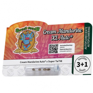 Cream Mandarine XL Auto®