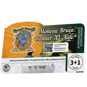 Mimosa Bruce Banner XL Auto®