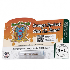Orange Apricot Glue XL Auto®