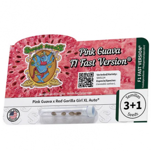 Pink Guava F1 Fast Version®