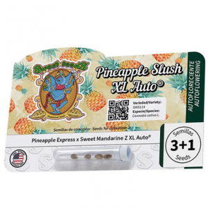 Pineapple Slush XL Auto®