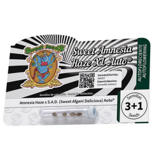 Sweet Amnesia Haze XL Auto®