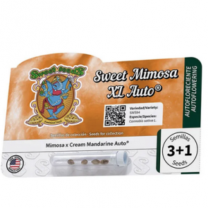 Sweet Mimosa XL Auto®