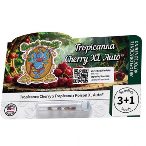 Tropicanna Cherry XL Auto®